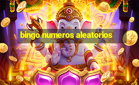 bingo numeros aleatorios